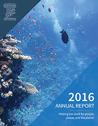 2016 ELI Annual Report