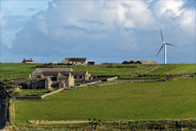 Leading and Facilitating Sustainability